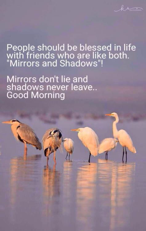 People Are Blessed In Life....jpg