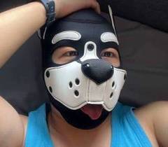 Newbiegayguy