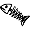 drywaterfish
